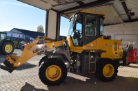 Brandt-Traktoren.de Radlader SDLG LG 918